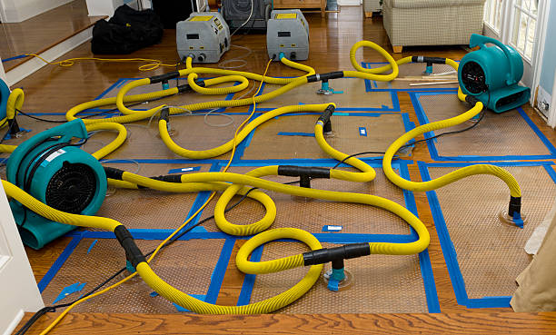 Professional Burst Pipe Water Damage technician working in Mayo, MD